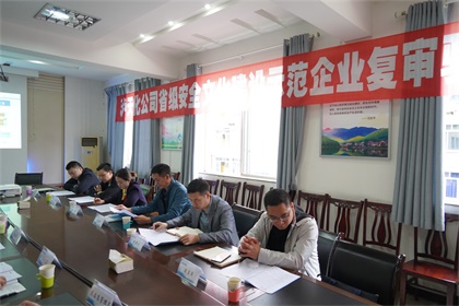 瀘天化安全文化示范企業(yè)復(fù)評驗收 (5).JPG