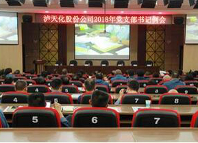 瀘天化黨委召開支部書記例會部署“大學(xué)習(xí) 大調(diào)研 大落實(shí)”活動