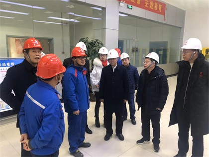 瀘天化股份公司黨委書記廖廷君率隊赴中鹽紅四方公司及史丹利公司調研