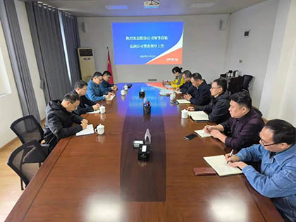 瀘天化股份公司紀(jì)委書記陳偉帶隊(duì)到弘潤公司開展專項(xiàng)督導(dǎo)檢查